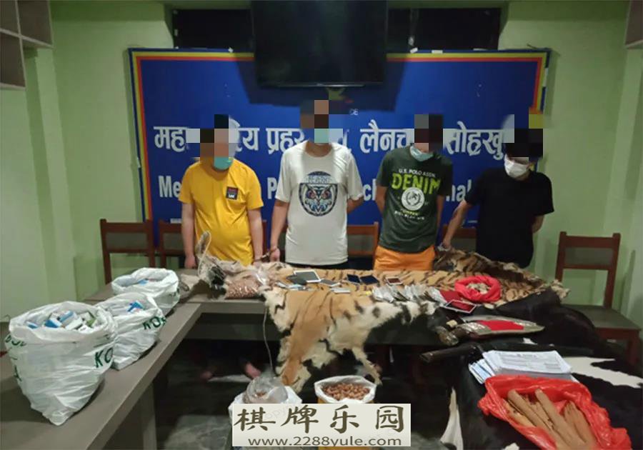 尼泊尔5名中国人因打麻将赌博在给泰米尔被逮捕