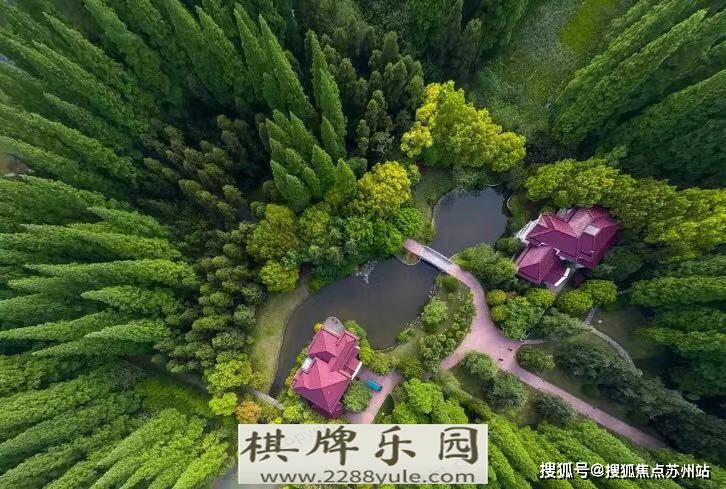 路劲象屿岛上的院子(上海崇明)售楼部-网站-户型